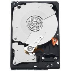 Western Digital 500 GB RE4 SATA 3 Gb/s 7200 RPM 64 MB Cache Bulk/OEM Enterprise Hard Drive - WD5003ABYX