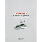Click here to buy Capelinhos: A Volcano of Synergies - Azorean Emigration to America by  Coordinator Tony Goulart.