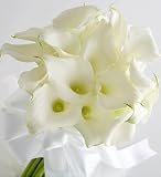 Flowers - Miniature Calla Lily Bride