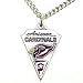 Arizona Cardinals NFL Chain Necklace & Pewter Pendant