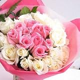 12�����̐����̃u�[�P�@���Ƃߍ��@�ԑ��@40�{�@�y���ԁz�y���j���z�y�L�O���z�y�a�����z�y�t�����[�M�t�g�z�y�o���z