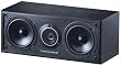 Dual 5.25" 2-Way Ve Series Center Channel Speaker