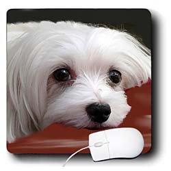 image link - - B002I8BDWG