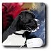 boxer19 - Dogs Boxer Black White Boxer Mouse Pads