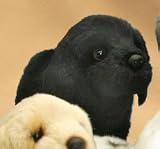 Plush Black Lab Pup Standing 9