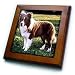 Dogs Border Collie - Border Collie Tan and White - Framed Tiles
