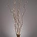 Gerson Everlasting Glow 39-Inch Battery Operated Natural Willow Lighted Branch