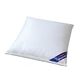 Schlafgut 03080-09009-10 Kissen glatt / Schlafgut Utah / 080x080