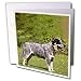 Dogs Australian Cattle - Australian Cattle Dog - Greeting Cards-12 Greeting Cards with envelopes