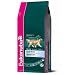 Eukanuba Senior Large Breed Formula for Dogs