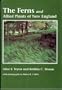 The Ferns and Allied Plants of New England (Natural History of New England Series)