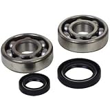 05-08 SUZUKI RM250: HOT RODS CRANK BEARINGS AND SEALS KIT by Hot Rods