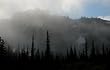 Fog and Sun, Mount Rainier National Park - Memorable 16x20 Photographic Print by Brendan Reals