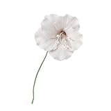 White Azalea with Wire