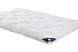 Badenia Bettcomfort 03649790154 4-Jahreszeiten-Steppbett Irisette Atmosphere 200 x 200 cm wei&szlig;