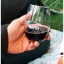 govino Stemless Shatterproof Wine Glasses (Set of 4