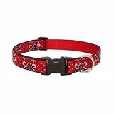 Ruby Cube - Lupine Adjustable Collars Large 1 &acute; x 18 &acute; - 31 &acute; - B0006VSGMM