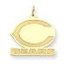 14K Chicago Bears Medium C Bears Charm