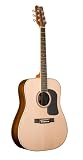 Musical Instruments : George Washburn Lyon Signature Rosewood Acoustic Guitar PAK