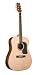 George Washburn Lyon Signature Rosewood Acoustic Guitar PAK