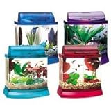 Pet Supplies : ALL-GLASS AQUARIUM 5 GALLON MINI BOW FRONT AQUARIUM KIT PURPLE