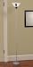 Memory Company Montana Grizzlies Torchiere Floor Lamp
