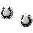 Stainless Steel Indianapolis Colts Logo Stud Earrings