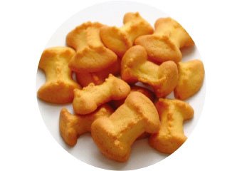 犬用おやつ 国産 ビスケット 豆乳クッキー かぼちゃ ドッグツリー dogtree