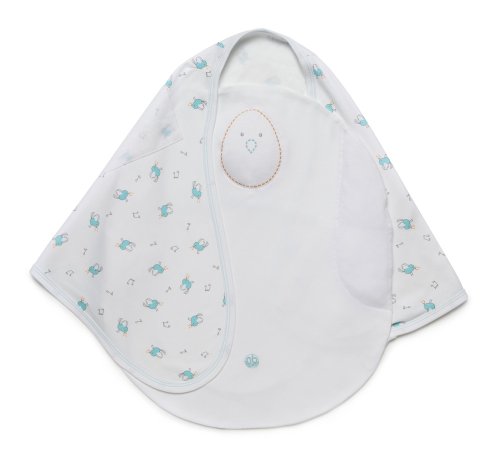 Best Swaddle Blanket For Baby