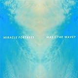 Was I The Wave?