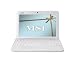 cover of MSI U100-1618XP Wind 10.2 Zoll WSVGA LED Netbook (Intel Atom N270 1,6 GHz , 1GB RAM, 80GB HDD, Windo