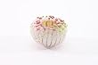 Urchin
