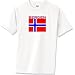 Bergen, Norway Flag Tee T-Shirt 6.1 Heavyweight
