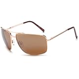 Identity BM321-2 Aviator Sunglasses