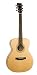 Recording King Classic Series I OOO-Style Acoustic Guitar (Mahogany)