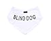 Blind Dog White Dog Bandana Quality Personalised Embroidered Message Neck Scarf Fashion Accessory Prevents Accidents by Warning Others of Your Dog in Advance