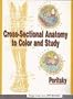 Cross-Sectional Anatomy to Color and Study