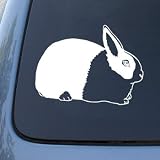DUTCH RABBIT - Bunny - Vinyl Car Decal Sticker #1510 | Vinyl Color: White
