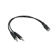HDE (TM) 3.5mm (AUX) Female to 2 x 3.5mm (AUX) Male Cable