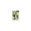 Cathe Friedrich's Low Impact Step + Total Body Sculpting DVD