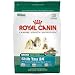 shih_tzu35shih tzu - Royal Canin MINI Canine Health Nutrition Shih Tzu