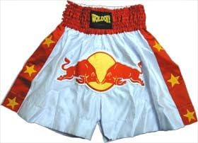 Muay Thai Shorts with Bulls in Satin