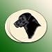 Labrador Retriever Black Coasters - 4 Pack