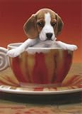 Beagle in Cup Birthday Card