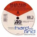 We Be Burnin' [Vinyl Single]