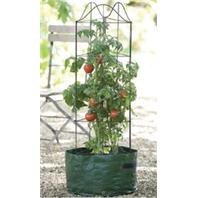 Gardman 7575 Climbing Tomato Planter