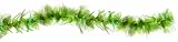 Womens Seaweed Costume Boa