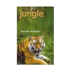 This is the Jungle