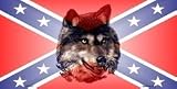 LP-2407 Confederate Wolf License Plates Tags