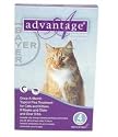 Bayer ADVANTAGE4-PURPLE Advantage 4 Pack Cat 9 Lbs. & Up - Purple